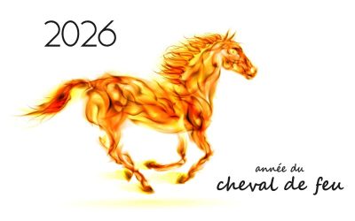 Feng Shui 2026 – Comment harmoniser les énergies annuelles